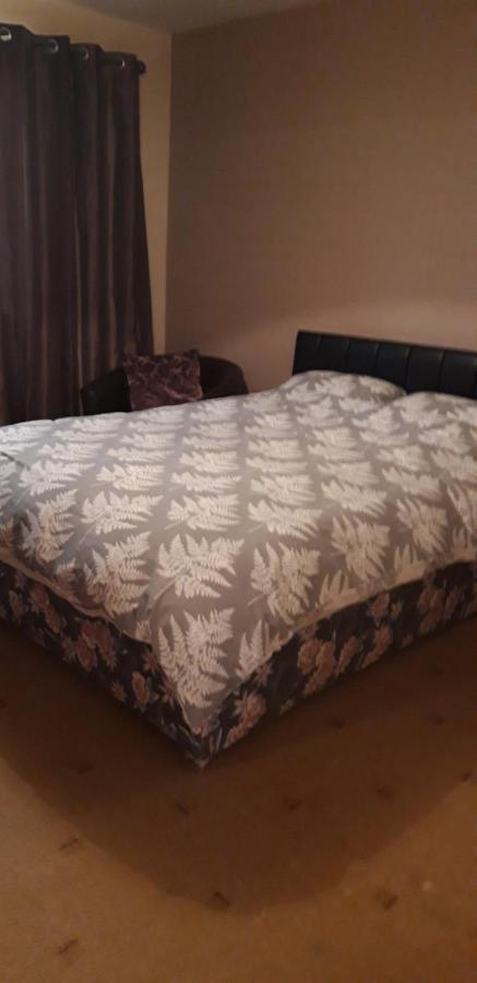 شقة بونكرانا  في 4 Summerhill المظهر الخارجي الصورة
